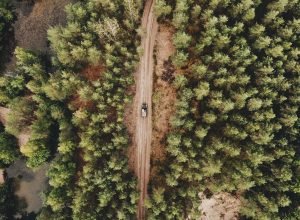 aerial-shot-car-driving-pathway-middle-green-forest (2)