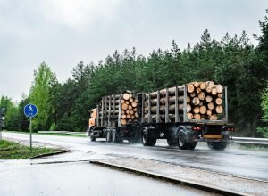 logging-truck-road-rainy-day