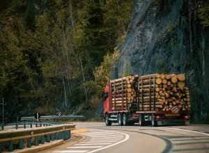 transportation-timber-firewood-country-roads-transportation-trucks-with-special-semitrailers-forest-logs (1)