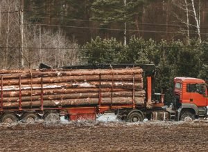 tree-trunk-logs-loaded-truck (1)